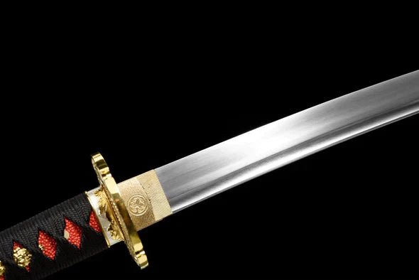 Lame-Pack-Katana-Tanto-Doragon