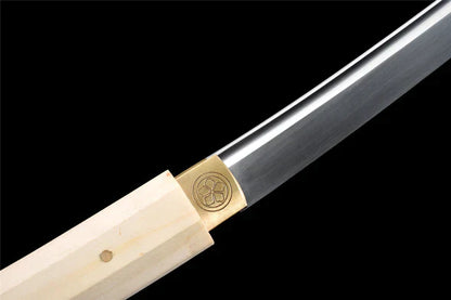 Wakizashi